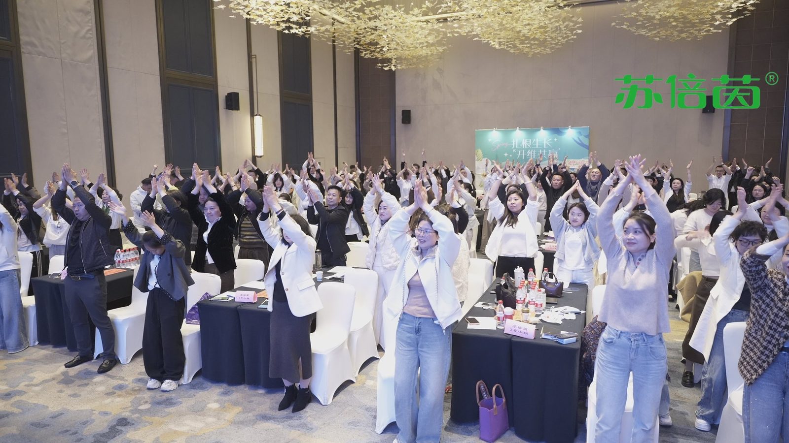 2026苏倍茵全域增长峰会现场